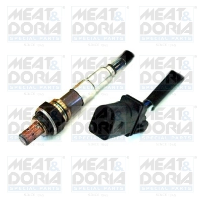 Oxygen Sensor